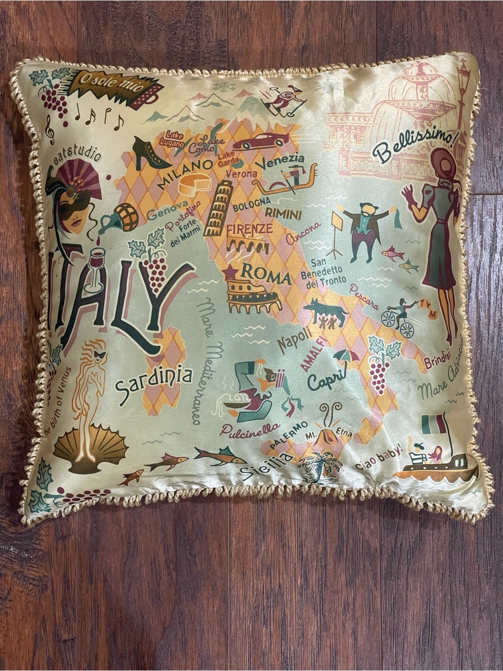 Italy Map Decorative Accent Pillow in Beige & Gold